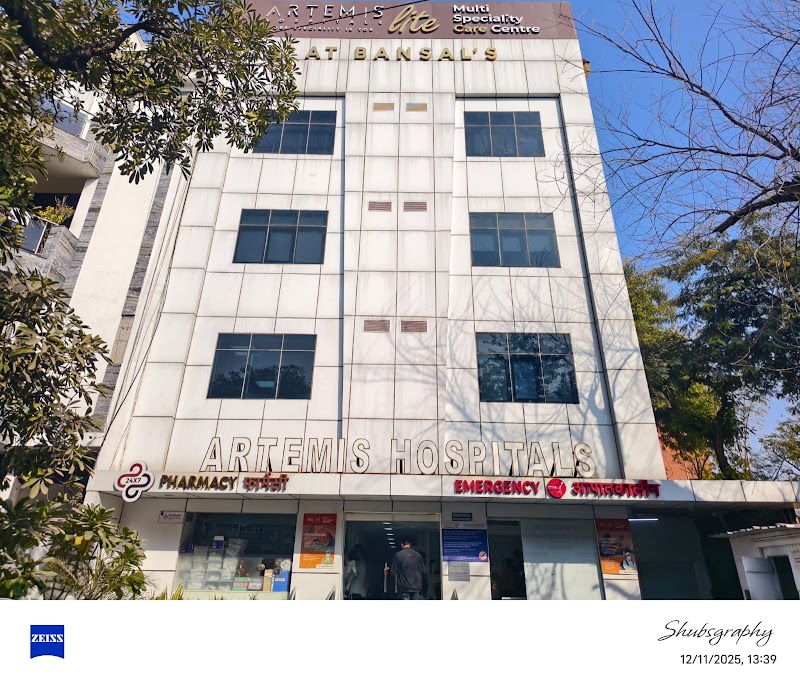 Artemis Lite Hospital, Delhi