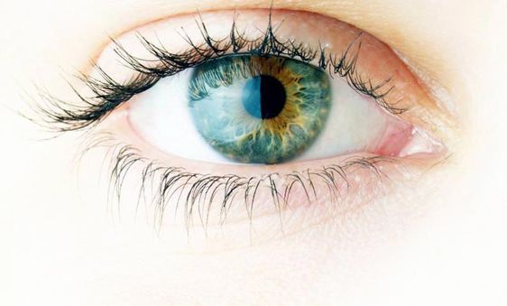 Sai Jyothi Eye Institute