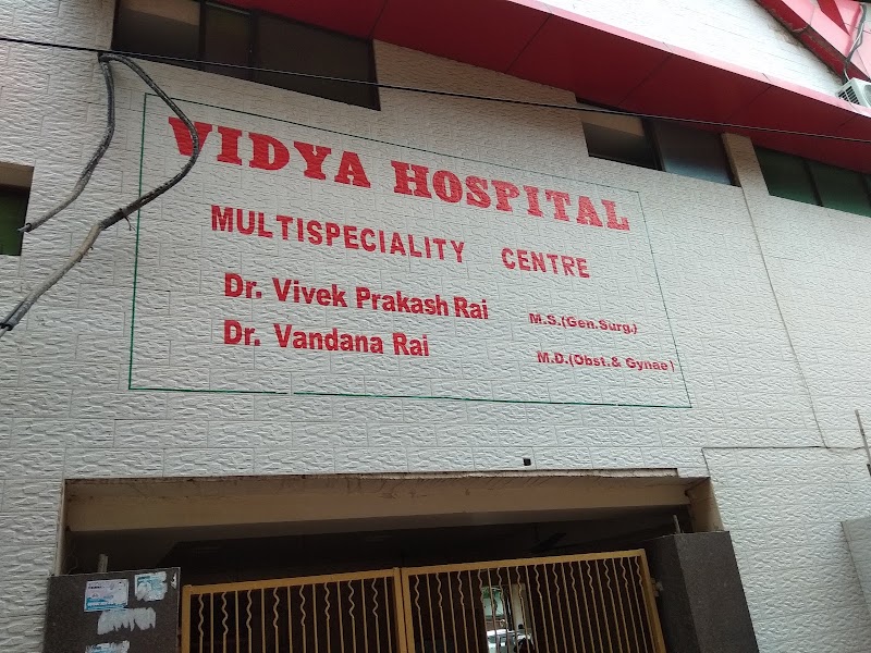 Vidya Hospital